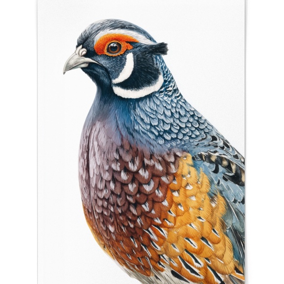 Watercolor Quail Wall Art Print, Unframed - Vibrant Nature-Inspired Home Decor - Picture 2 of 6